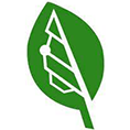 Bigleaf Networks logo